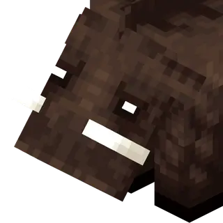 The Glacia
