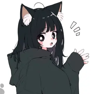 The Kxt's Meow