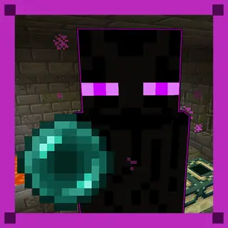 Ender Sight