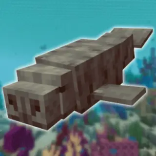 Scarlet's Manatees
