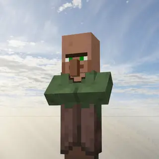 Block villager