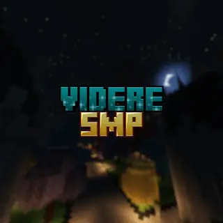 Videre SMP