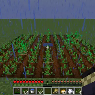Stormcrops