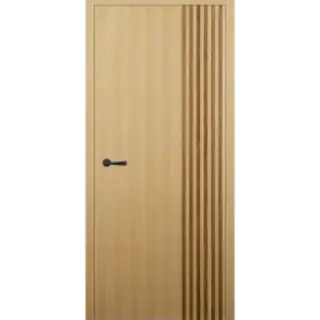 Realistic Door