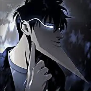 Zoni's Solo Leveling
