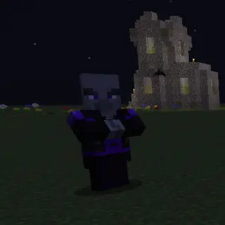 Followers of the Wither Storm (sdtw)