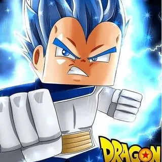 Dragon Block Joo