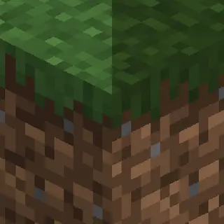 Not So Dark Forest