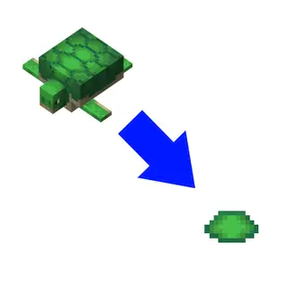 Turtles Drop Scute