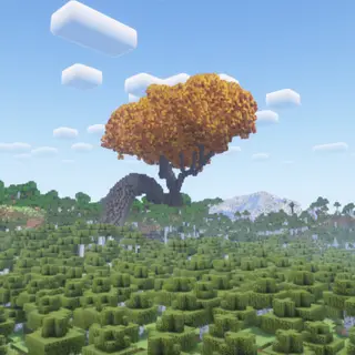 Giant Yellow Tree