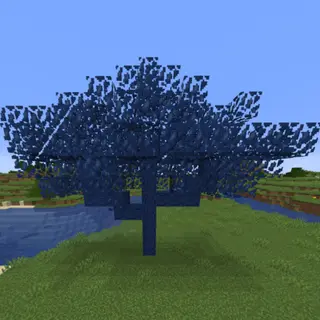 The Jacaranda Tree