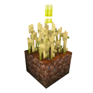 Better Farming + +