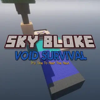 Sky Bloke - Void Survival