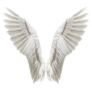 fly me up to the sky