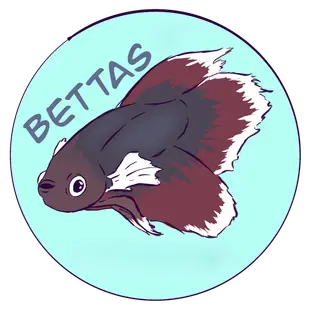 DragN's 'Just Bettas'