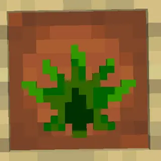 Grass And More