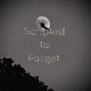 Scripted to Forget