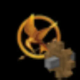 Create the Hunger games