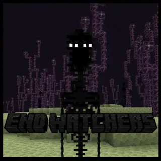 End Watchers