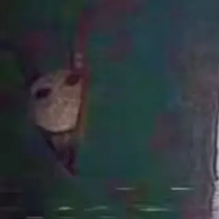 The Stalker Nightmare