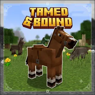 Tamed & Bound