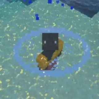 Enhanced Water Spash