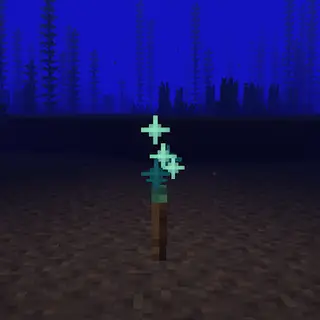 Cinch's Extra Torches