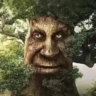 Superior Trees