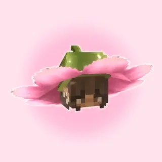 The Faye Pixies Accessories