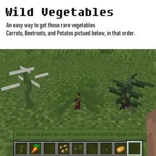 Wild Vegetables (easy plants)