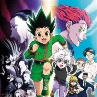 Hunter x Hunter D