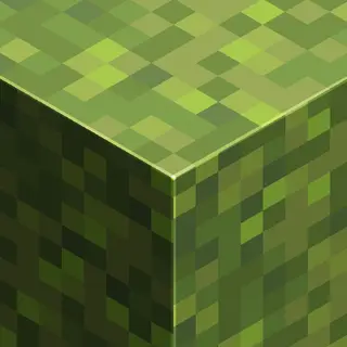 Starry's Randomized Moss