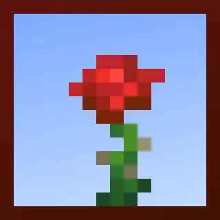 Roses Reborn