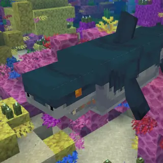 Aquatic Fauna Addition