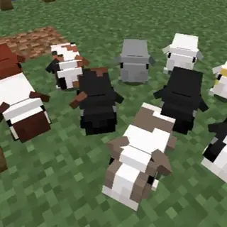 Tameable Guinea Pigs