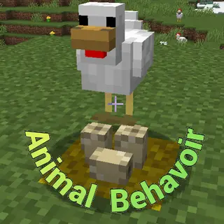 Animal  Behavior