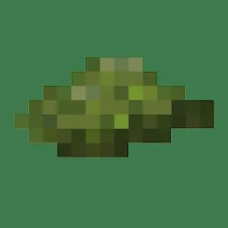 Moss Armor