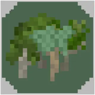 Silverwood Trees