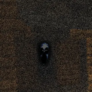 The Watcher (Horror)
