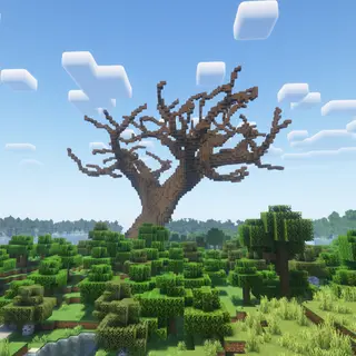 Giant Dead Oak Tree