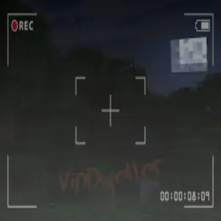 VipDweller