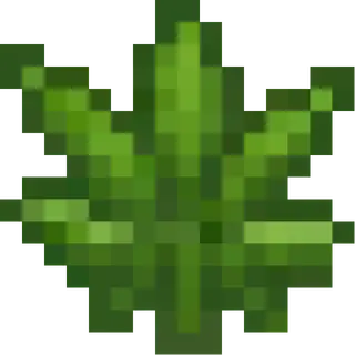 Hemp Life