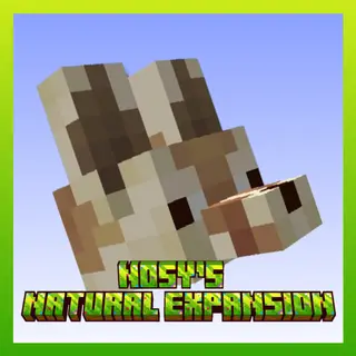 Nosy's Natural Expansion