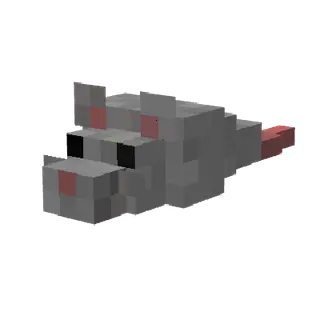 RATS!?