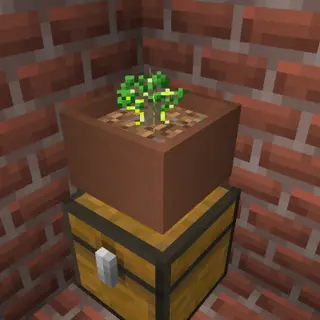 Botany M trees