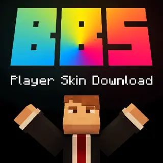 BBS Player Skin Download