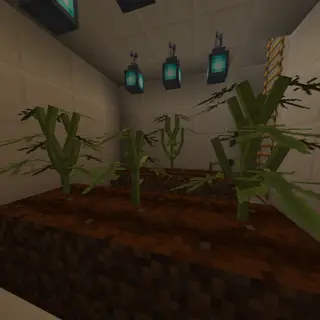 Herbcraft