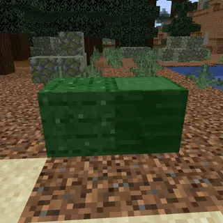 Easy Cactus Wood
