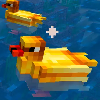 Ducky Quack Pack
