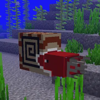 Wollcrafter's Nautilus